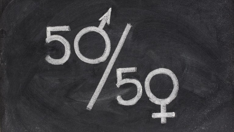 Igualdad de género: el Gobierno estableció que las sociedades tienen que tener la misma cantidad de hombres y mujeres en sus directorios