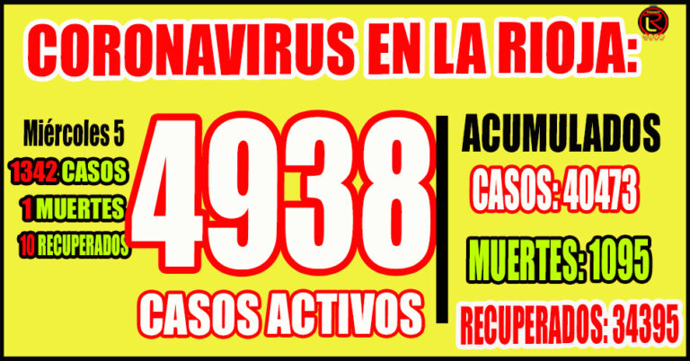 Corresponden 739 a la Capital y 603 al interior