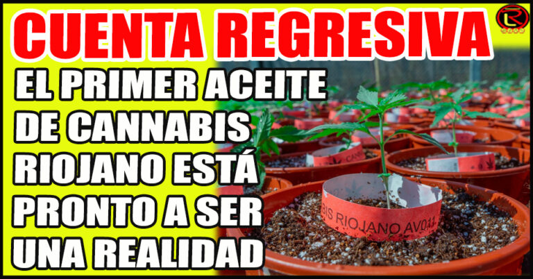 «Hoy Agrogenética está posicionada como uno de los proyectos de cannabis líderes en el país”