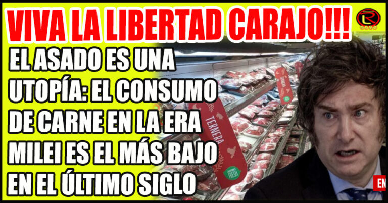 Las consecuencias del devastador programa económico recesivo del presidente Javier Milei