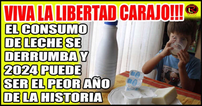 Con Milei, ni para comprarle leche a los chicos alcanza