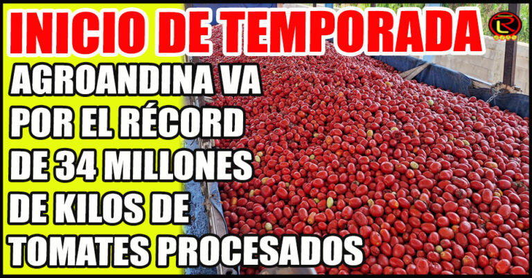 La Empresa tiene un promedio de 800 mil kilogramos de tomates procesados por día