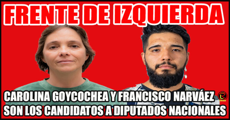 FIT: Goycochea y Narváez titulares, Claudia Baigorri y Horacio Pavón suplentes