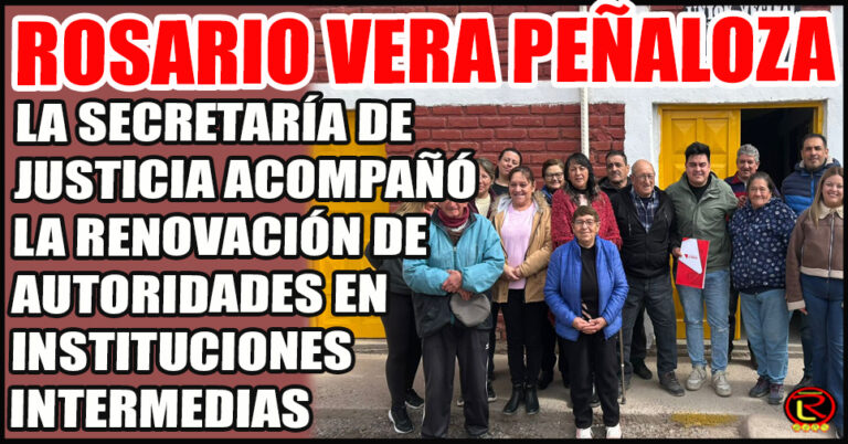 Crecimiento y consolidación de las organizaciones sociales