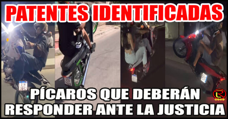 Las cámaras pudieron identificar varias patentes de Motopatoteros