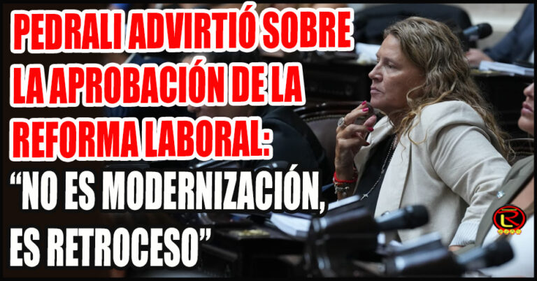 «El proyecto carece de un plan productivo integral y de políticas específicas para el interior del país»