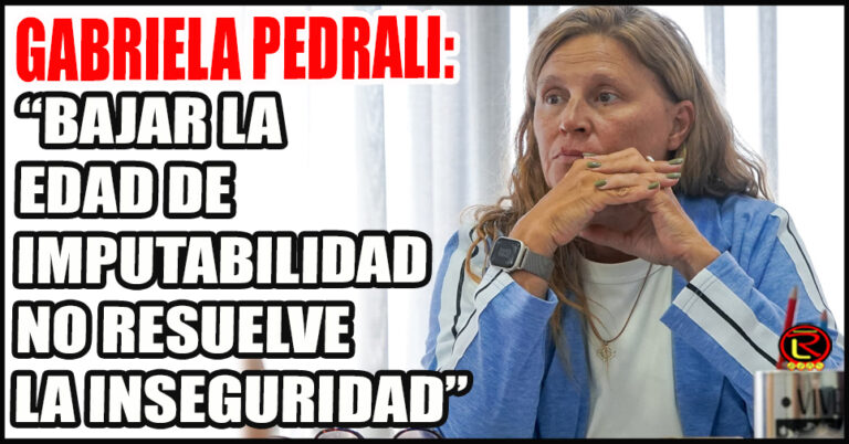 La Diputada riojana rechazó la propuesta que plantea LLA