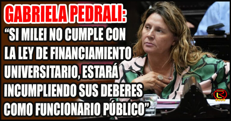 La Diputada Nacional se refirió al fallo de la Justicia sobre la Ley de Financiamiento Universitario