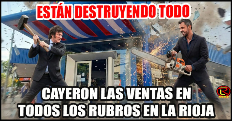 Centro Comercial La Rioja: «hay una fuerte caída de las ventas»