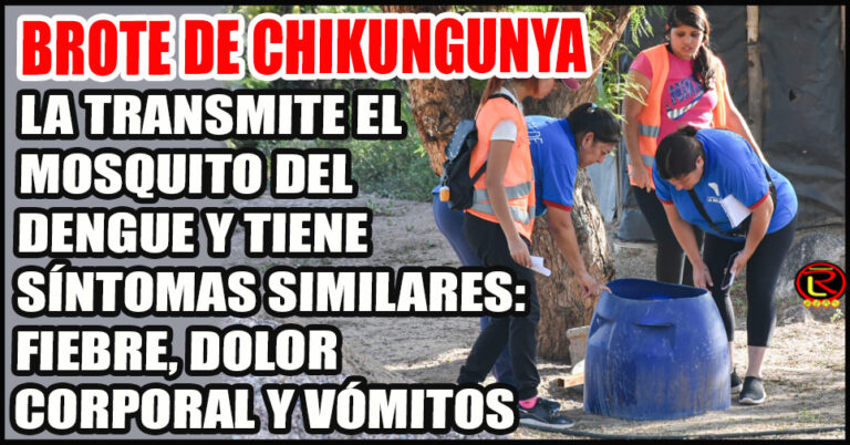 Advierten sobre el brote de chikungunya en el norte del país