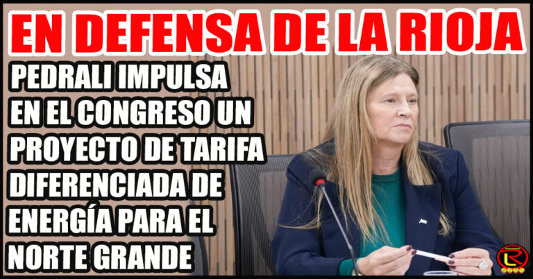 “El acceso a la energía eléctrica no puede ser un privilegio, es un derecho»