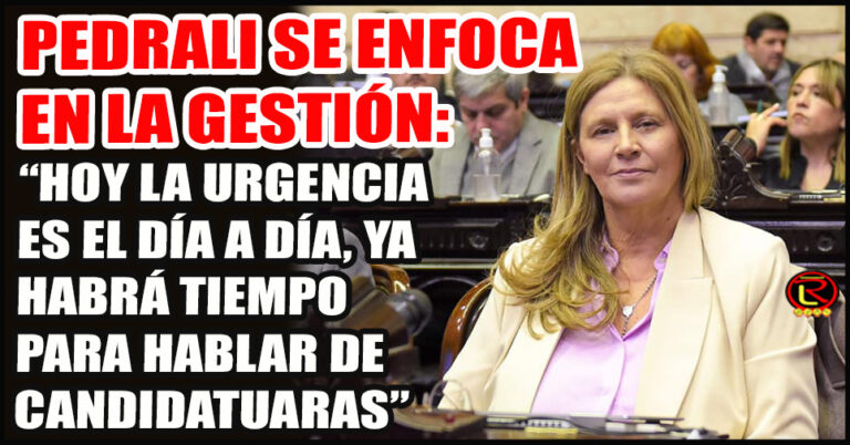 La Diputada pidió armar de forma urgente un Proyecto federal y distributivo de energía