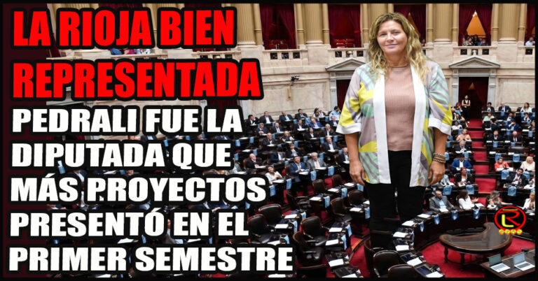 La legisladora riojana figura como la diputada con mayor cantidad de iniciativas legislativas presentadas