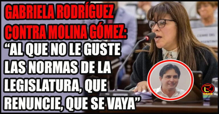 La Cámara de Diputados aprobó una cuestión de privilegio contra el libertario Diego Molina Gómez