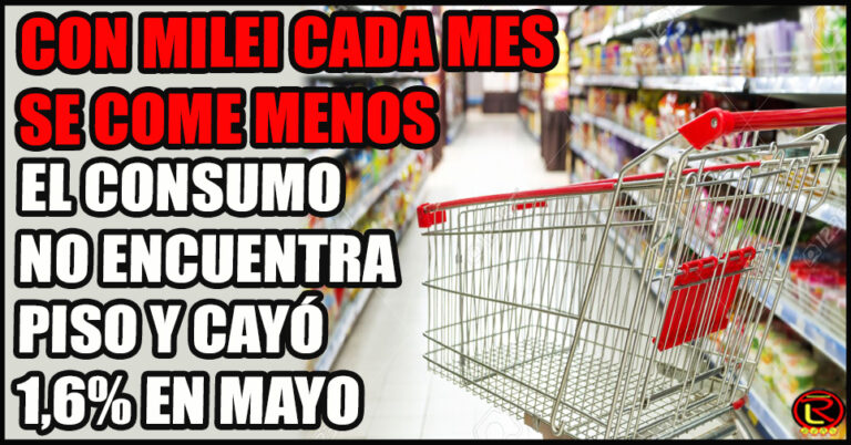 La cruel realidad contradice el relato de Milei