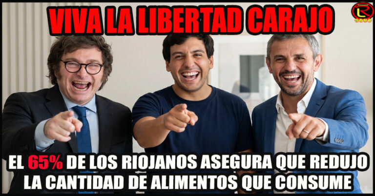 Relevamiento realizado por la agrupación ‘Libres del Sur’ sobre un total de 376 hogares