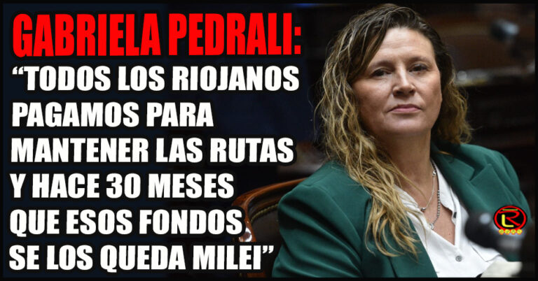 «Cada vez que cargamos nafta, $400 por litro deberían ir a las rutas y se los queda Milei»
