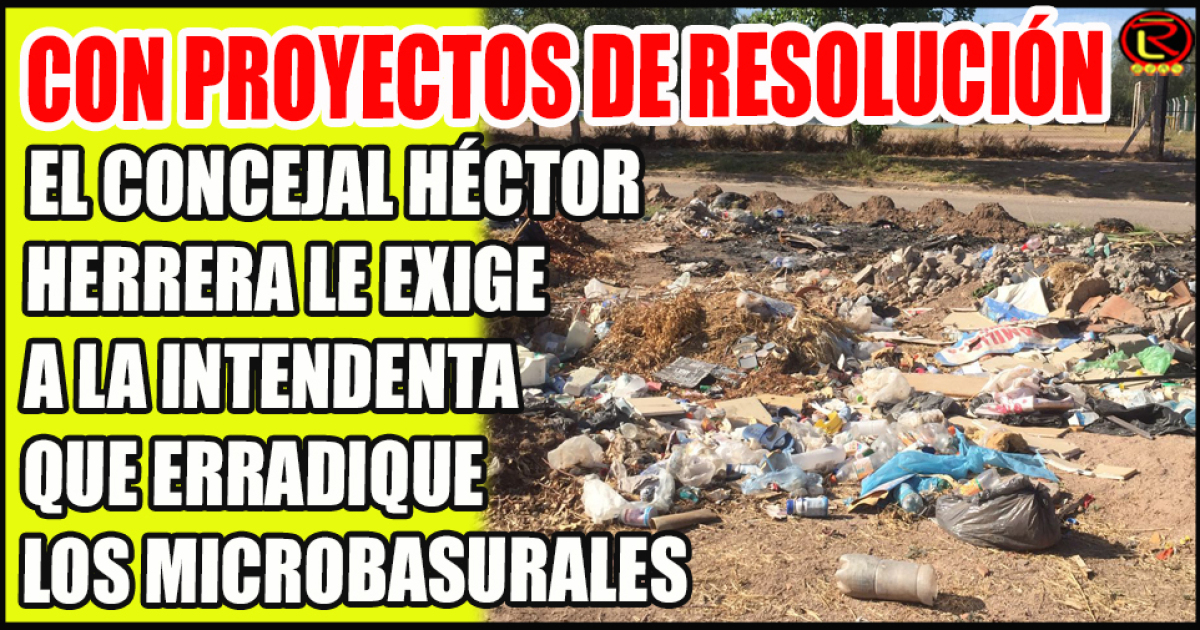 «Hay microbasurales cerca de las Escuelas que ayudan a la proliferación ...